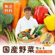 【最短営業日当日発送】おまかせ野菜セット 10品セット 15品セット 20品セット 国産野菜 野菜詰め合せ 野…