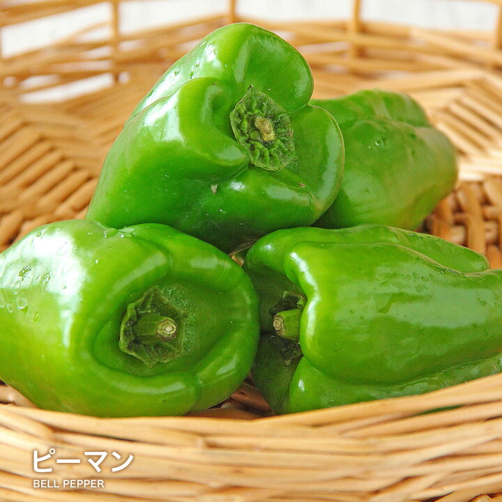 楽天市場】ピーマン 送料無料 定番 万能 野菜 緑黄色 ぴーまん 