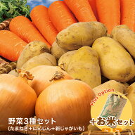 【営業日当日発送】 野菜セット 3種国産野菜セット 野菜詰め合せ （たまねぎ・にんじん・新じゃがいも）…