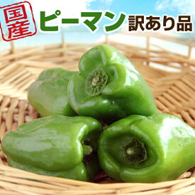 【営業日当日発送】訳ありピーマン ピーマン 送料無料 定番 万能 野菜 緑黄色 訳ありぴーまん ピーマン肉詰め 青椒肉絲 酢豚 中華 味噌炒め おひたし