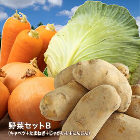 【営業日当日発送】野菜セットB（キャベツ・たまねぎ・じゃがいも・にんじん） 4種セットきゃべつ 玉ねぎ ポテト 人参 定番 万能 おうちごはん おうち時間 ご家庭用 大量 おためし