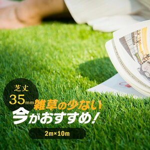 �ӂ��� ���A�� �������� 4�F���̊� 42�{�� �s��33���{/���� �s��47���{/���č����x 1m×5m�ŏ�35mm 1m×10m 2m×10m ���[��