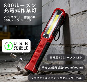 ASH 800LM�[�d��LED��ƃ��C�g ��������OK�I800���[���� LED