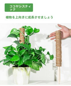 y3{ZbgzRRXeBbN Xe x  A x |gX x \ NC~O VRRRibct@Co[_ 30cm/40cm/50cm Rgݍ킹EA\ RRibc