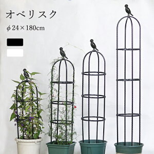 10OFFN[| 8/5y yV1 28l zIxXN x gX ߉\ 24×180cm ȒP  ȈՑg 鐫A  op K[f x Ԏx  |pi o 