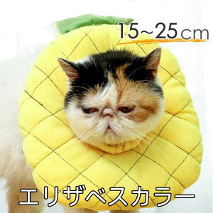 y 15`25cm pCibv \tg GUxXJ[ rߖh~ 炩  L