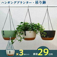吊り鉢 植木鉢 ハンギングバスケット口径29cm 3っ点セット壁掛け 吊るす 吊り下げ おしゃれ 観葉植物 屋…