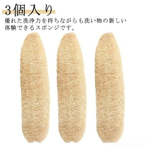 VRw`} @\ w`}X|W w`}킵 3 HuV M H Lb`pi Ȃ ꂪ