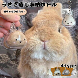  y  ybg  [ {g L[z_[ P[X  ۊ Ђ  vo A ANZT[ Xgbv `F[ 񂩂 v[g Mtg LO iv ۑ