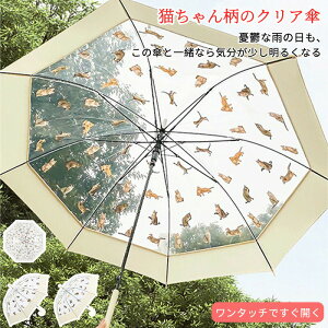 fB[X     P102cm ʋ ʊw NAWvP Jp 傫 tHgWFjbN  ʐ^ vg n OXt@Co[ v rj[ P JP