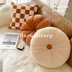 zc NbV 45cm 42cm tANbV ی` p` k `FApbh \t@[ ֎qp  a  `FANbV   ItBX CX xbh 킢 ԂƂ  