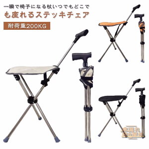 XebL`FA Or  XebL ܂ r  { ܂肽 `FA[ ^b`߉\ ֎q CX  s⏕ XebL`FA ֎qɂȂ  VjA U