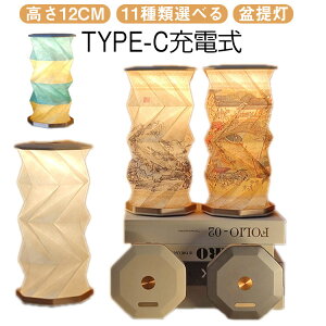 ~j LED tACg  X^hCg ~ R[hX 12cm    ~ H ~ _  Q ~傤 type-C[d Ɩ a Ղ d a ~j