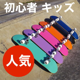 【価格最前線】【売切り】【送料無料】nsmNEW STREET MOVE コンプリート27インチ 29インチ スケートボード LBST0013 LBST0014 スケボーSkateboard スケボー SK8 NSM エントリーモデル 初心者 人気 入門 キッズ ジュニア 男の子 女の子 かわいい 小さいサイズ