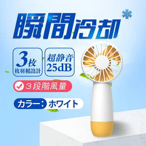 y10{|CgzKaKalife gѐ@ nfBt@ 莝@ /y/É/3iK啗/USB ^CvC[dz  lC nfBt@ y RpNg ^щ eʃobe[