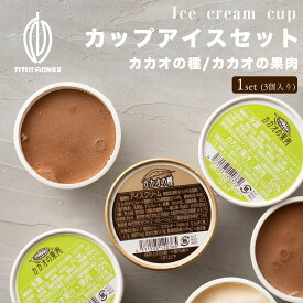 カカオの種 カカオの果肉セット 80ml×各3個入1セット カップアイス セット アイスクリーム チョコレート カカオ豆 スイーツ お返し ギフト お菓子 詰め合わせ 送料無料 バレンタイン ホワイトデイ冷蔵 冷凍 氷菓