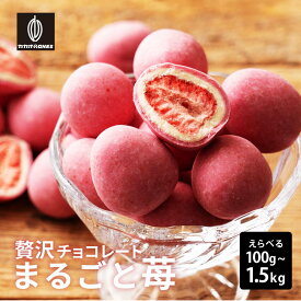 ＼楽天スーパーSALE／贅沢まるごと苺チョコレート【選べる100g~1.5kg】100g チョコレート 苺 ホワイトチョコ イチゴ ストロベリーチョコ いちごトリュフ フリーズドライ チョコ カカオのONES