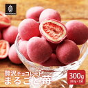 贅沢まるごと苺チョコレート 【1袋】300g チョコレート スイーツ いちごまるごと ホワイトチョコ イチゴ いちご ストロベリーチョコ いちごトリュフ フリーズドライ チョコ 友チョコ 自分チョコ