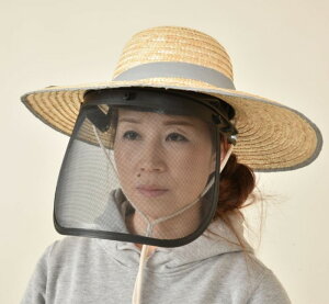 XqԂtFCXveN^[V[h̏ォXqԂĔM΍I