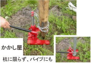 񂽂Y()@2`10cm̍Y̓P