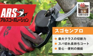 AX@R[hXd EP-721@ARS@XSZv