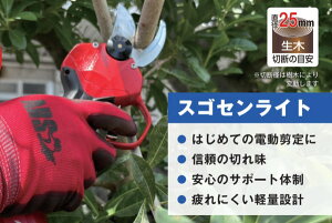アルス コードレス電動剪定鋏 EP-719 ARS スゴセンライト