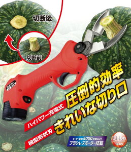 J{`̎n@[d݈͂邾Ńw^ؒf@ڂp