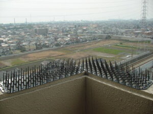 Ƃs[10@i͂ƁEngjEJXELi˂ElRj鎖Ȃ₳ށIyz