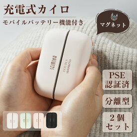 【満足度の高い電気カイロ】 充電式カイロ 分離式 電気カイロ 6000mAh モバイルバッテリー 軽量 可愛い 省エネ 3段階温度調節 最高60℃ PSE認証済 通勤 通学 アウトドア 防寒グッズ クリスマス プレゼント 冬対策 新生活応援 全4色