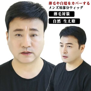 部分ウィッグ メンズウィッグ ポイントウィッグ 男性 自然 生え際 増毛 薄毛 かつら ヘアピース 男性用 紳士用 付け毛 薄毛対策 白髪隠し トップピース 円型脱毛症 ナチュラル ショート トッ