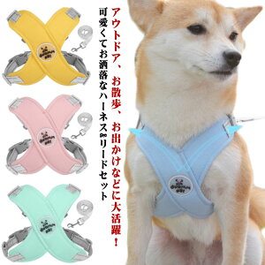  ^ p n[lX  [hZbg 2_Zbg S    ˔ o ȒP ^ ^ ^  \tgn[lX U UObY ȒPE y  