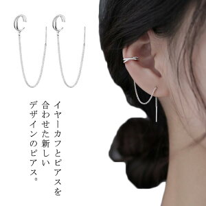  sAX AJsAX `F[sAX fB[X ؚ h l i Vv Vo[ JWA t@bV  l 2A `F[ C[Jt |XgsAX ANZ