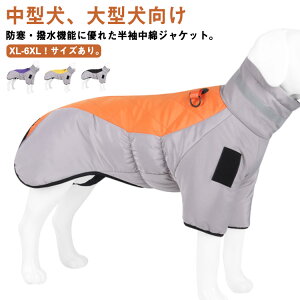 XL-6XLI hbOEFA wJ  R[g zF ^ ^   _E WPbg nClbN n[lX H ~ 3XL h h y  EȒP wt@Xi[t  W