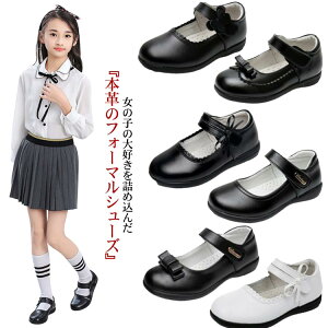 LbY tH[}V[Y {v qC ̎q tH[}C pvX {   w Ǝ ʊw ʉ  tH[} C  K[Y sAm\ sAm \ C t 