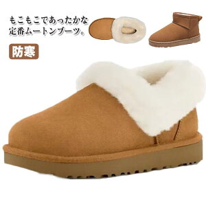  [gu[c fB[X {A u[c Xm[u[c N g ₷ EC^[u[c V[gu[c GWjAu[c h  h  C  [g 