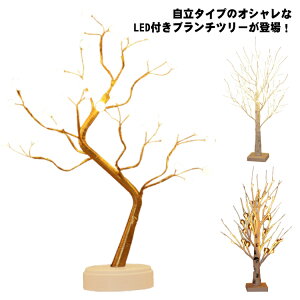  NX}Xc[ u`c[ 60cm  Cg LED C~l[V }c[  CeA LEDc[ zCg  k  USB dr dF    v[g V