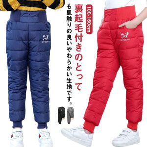 ȃpc LbY N q Y{ h _Epc g j̎q ̎q  EGXgS xr[ Opc WjA XL[ AEghA  {gX ~ V 