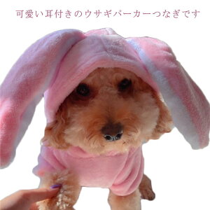 t[X   L  ybg H~ p[J[ e x   N CX^f t[h ~ ̕ _炩 g ^ ^ h L̕  v[g g 