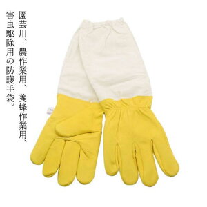 OO[u Ɨp v _炩rv K[fjOO[u {Ip  | hO[u I Ȋ 쏜 Q쏜  Ɨp jp 悯 