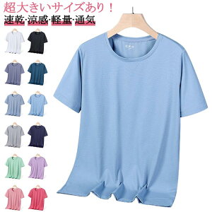 TVc ڐG⊴ Ђ Y  hC TVc  X|[cEFA e jOEFA 傫TCY z fB[X ʋC bV Ђ  ⊴ Vc gbvX