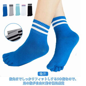   C 5{w 3g ܖ{w\bNX N[\bNX qp j̎q V[g\bNX LbY ̎q X|[c\bNX  WjA {[_[ 3g Rbg g 