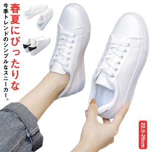  ʊw fB[X  ₷ [Jbg ʋ  wl 킢 w Vv Xj[J[ V[Y C Xj[J[ wZp t JWA H Xj[J[ r 3FWJ d