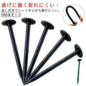 hV[g Œ s 300{Zbg Y }Y s V[g B PPY 11cm 16cm 20cm 25cm 30cm V[g |V[g V[g Œp Œs _ Ԃt ɂ 