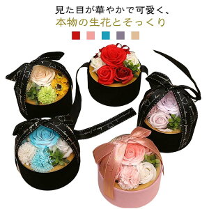 ̓ v[g \[vt[ ԃMtg NAh[ V{t[ \[v ΂   ͂Ȃ o a LO JXj Ǝ hV̓  v[g zC