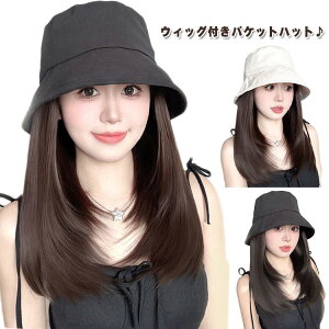 ѕtXq  oPbgnbg EBbOt Xq ėp ×pXq t EBbO ѕtXq  J[ R XqtEBbO ΍L Ăh~ UVPA E `Eя 