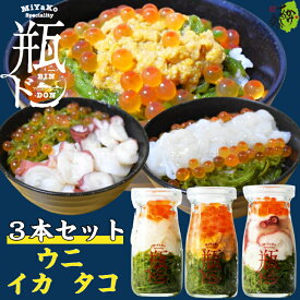 瓶ドン ウニ 1本 タコ 1本 イカ 1本 計3本セット