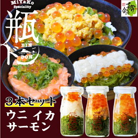 瓶ドン 宮古トラウトサーモン 1本 ウニ 1本 イカ 1本 計3本セット