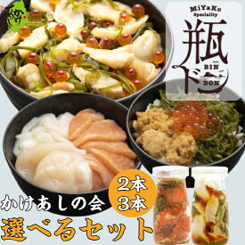瓶ドン 選べる 2本 3本 セット かけあしの会 (ほたていかサーモン とろサーモン うに ふぐいくら)