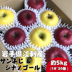 ]hY  Tӂ VimS[h 5kg L18 ܂ M20 1120`1226͂ _ Yn 茧 Bs ]h 