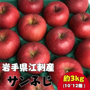 ]hY  Tӂ 3kg L10  L12 1120`1226͂ _ Yn 茧 Bs 